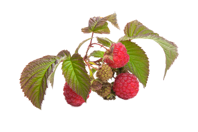 Can Raspberry and Carrot seed oils really protect your skin from the sun?
